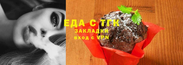 стаф Дмитриев