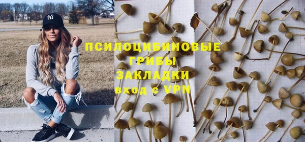 дурь Дмитровск