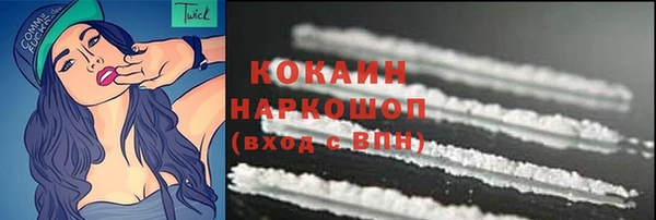 стаф Дмитриев