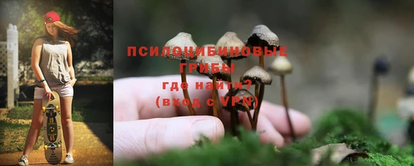 стаф Дмитриев