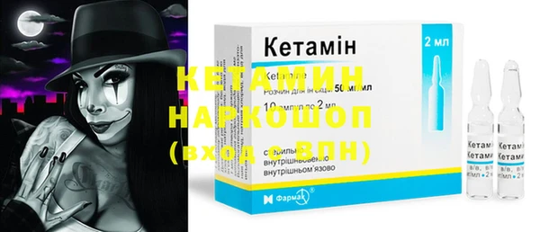 стаф Дмитриев