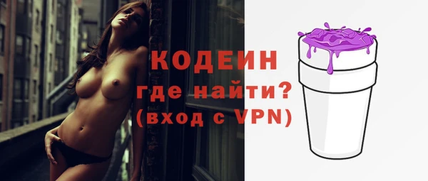 стаф Дмитриев