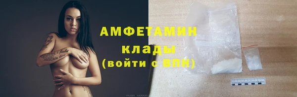 стаф Дмитриев