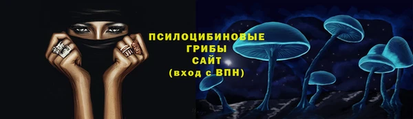 стаф Дмитриев