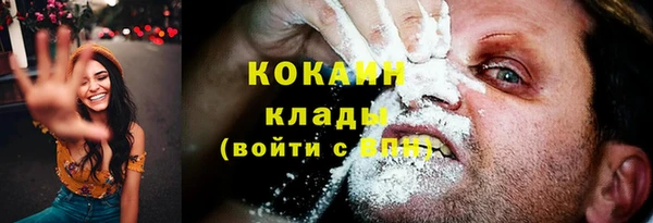 стаф Дмитриев