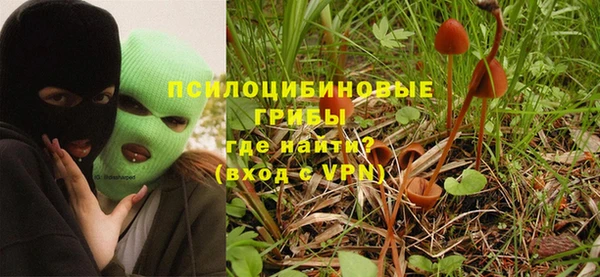 дурь Дмитровск
