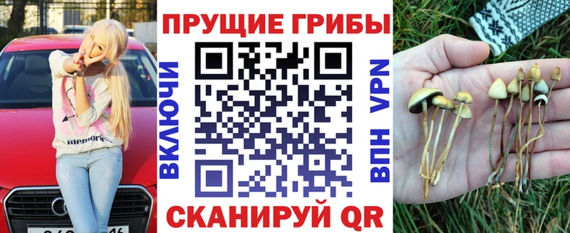 Галлюциногенные грибы Psilocybe  Купить  Пыталово 