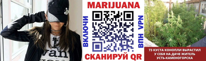 Купить закладки  Пыталово  Конопля MAZAR 